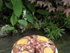 castagne e arancio