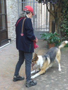 sombreros de color rojo